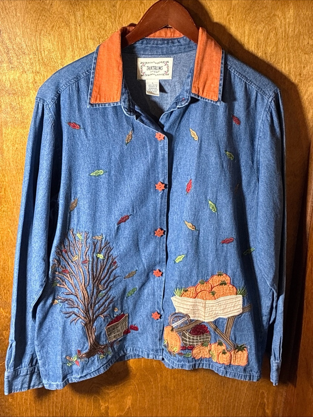 Tantrums Denim Shirt Embroidered Fall Pumpkins Leaves Apples Sz L Grannycore